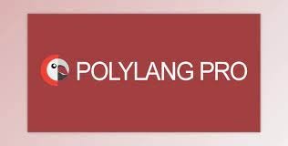 Polylang Pro v3.3.3 – Multilingual Plugin